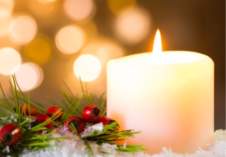 Fort Collins Local Business Directory & City Events Things To Do